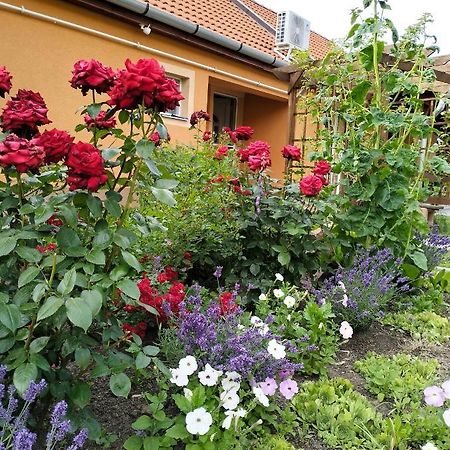 Levendulás Ház Hajdúszoboszló Exterior foto